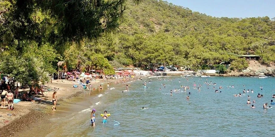 Katrancı Koyu