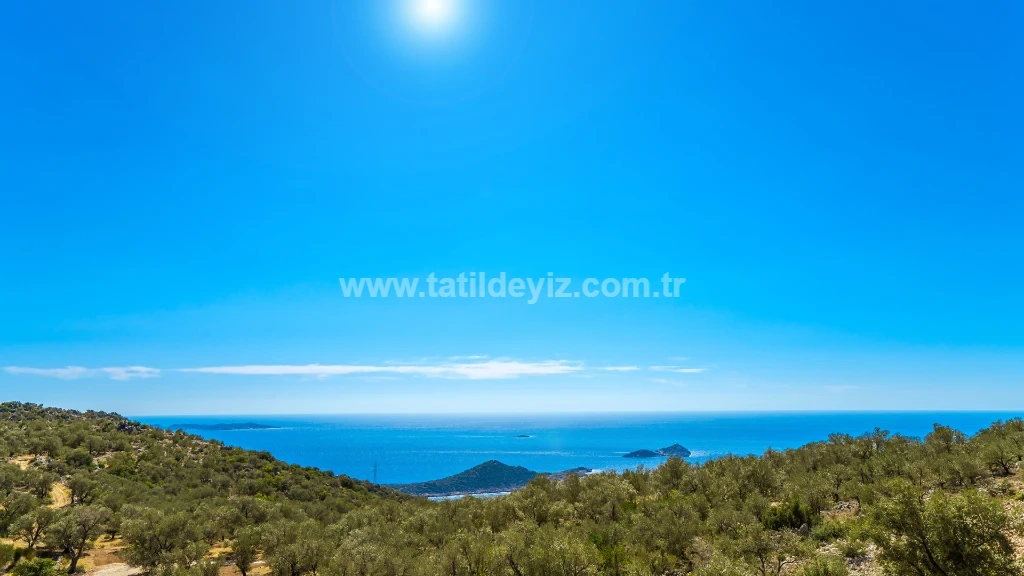 Villa Ayda - 66