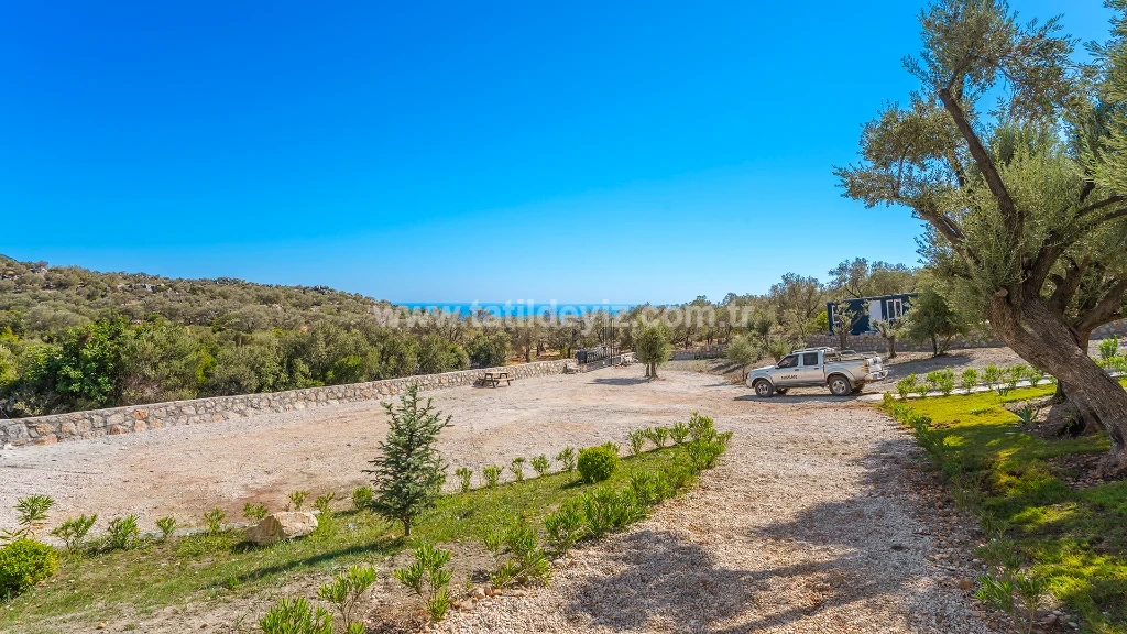 Villa Ayda - 69