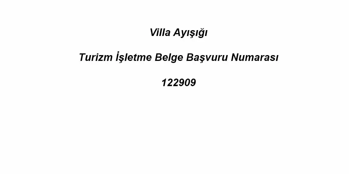 Villa Ayışığı - 31