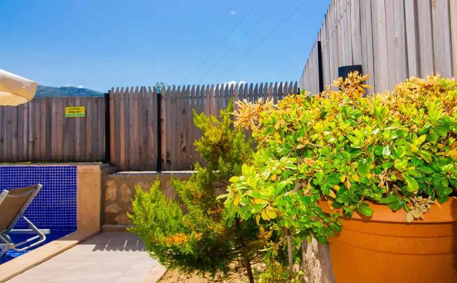 Villa Birnur - 62