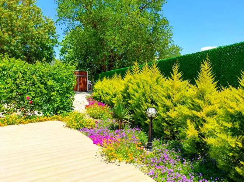 Villa Limon Kayaköy - 12