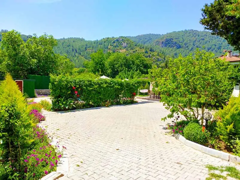 Villa Limon Kayaköy - 33