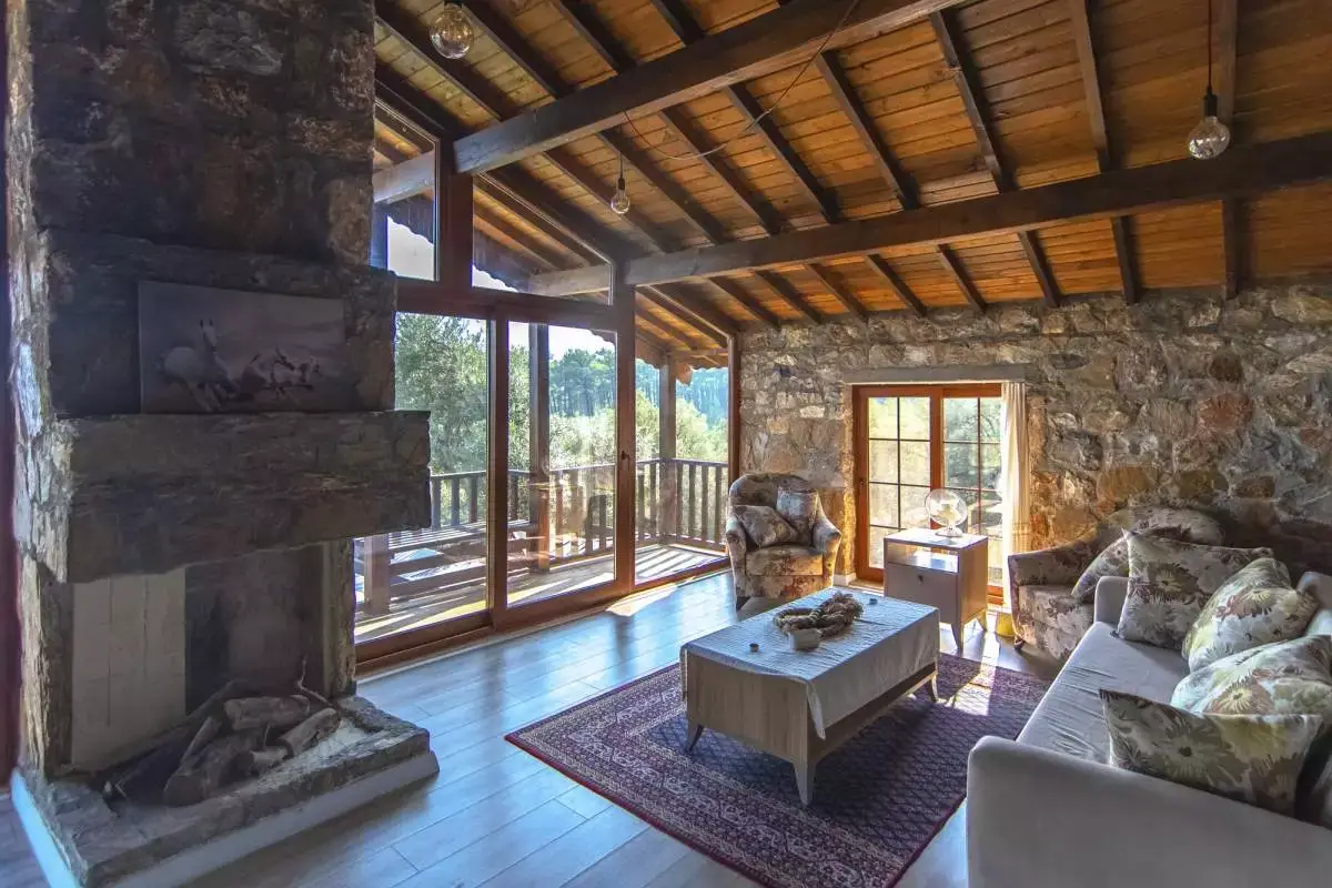 Villa Olive - 27