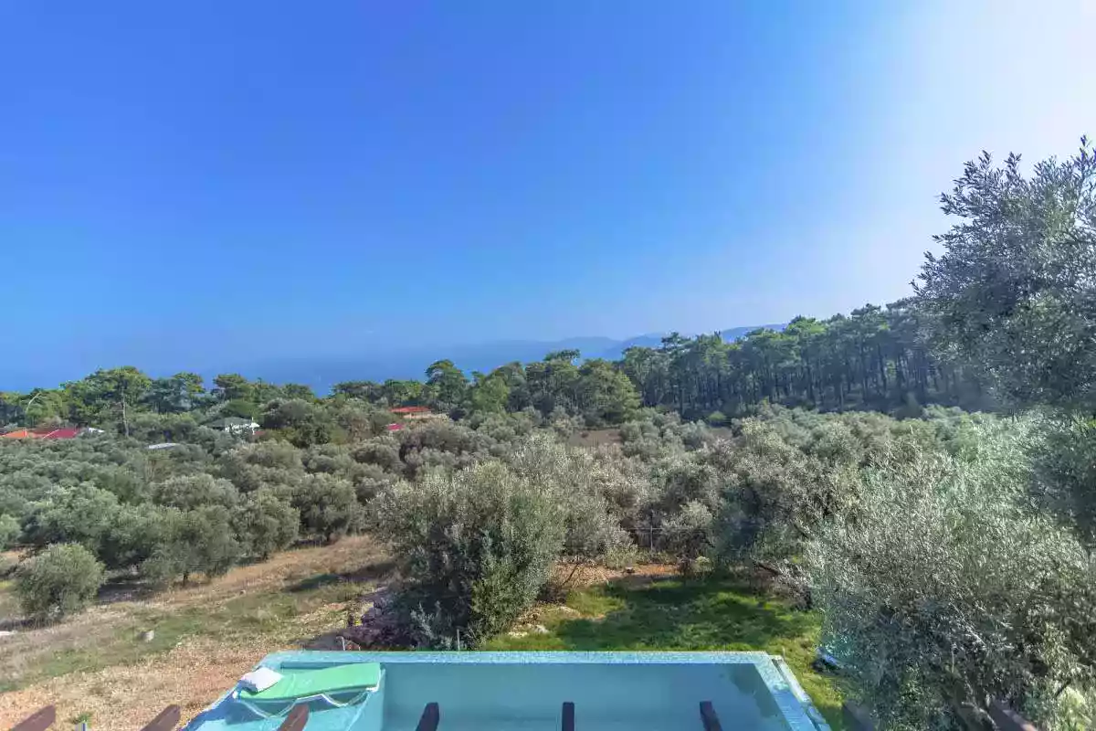 Villa Olive - 6