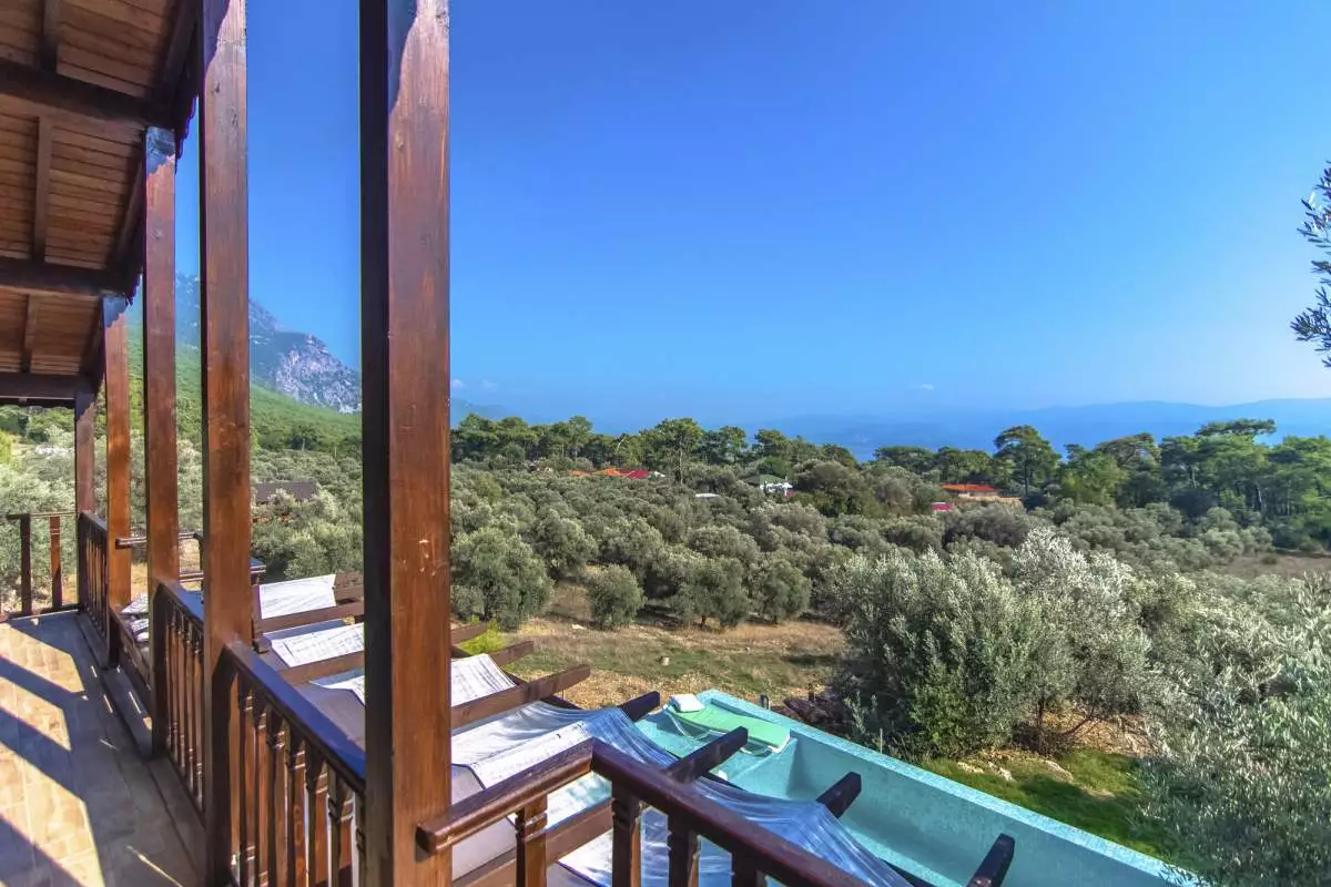 Villa Olive - 29