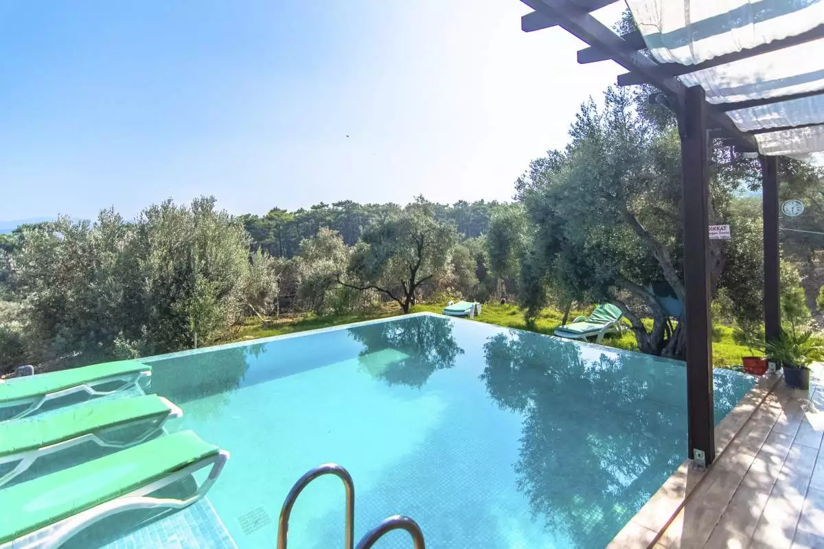 Villa Olive - 8
