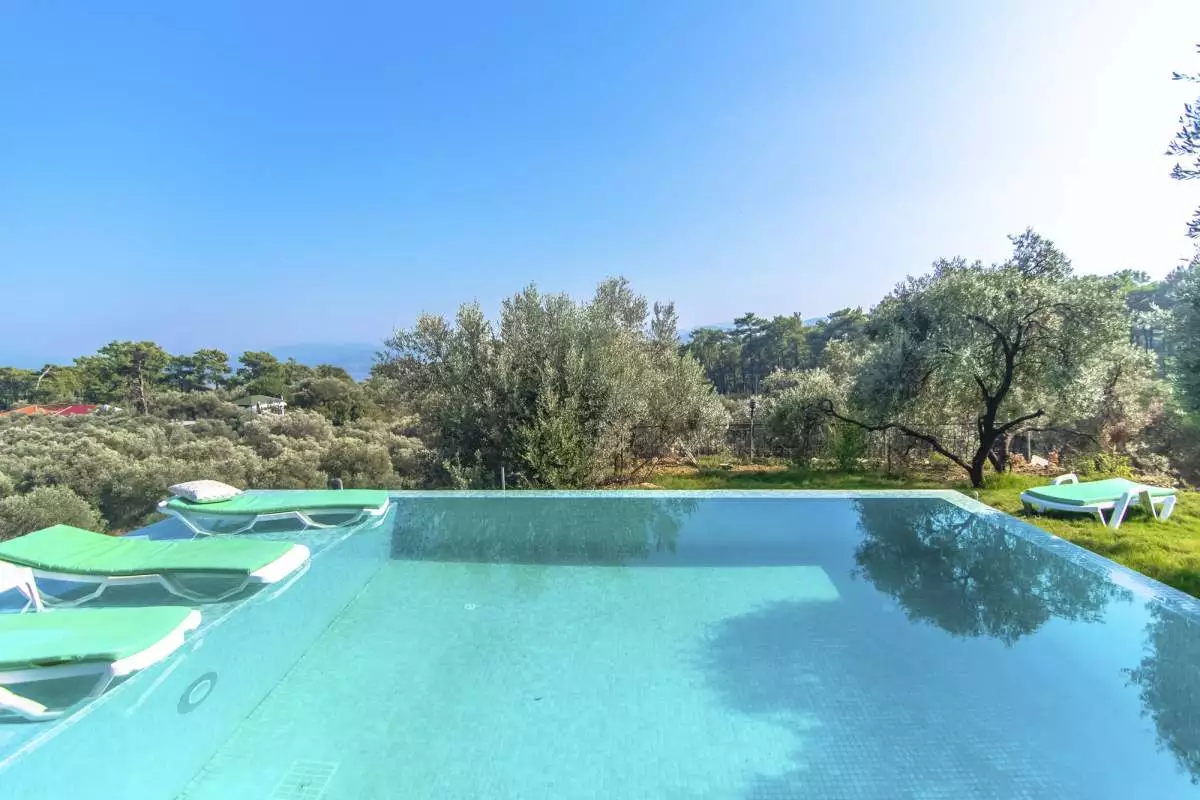 Villa Olive - 5