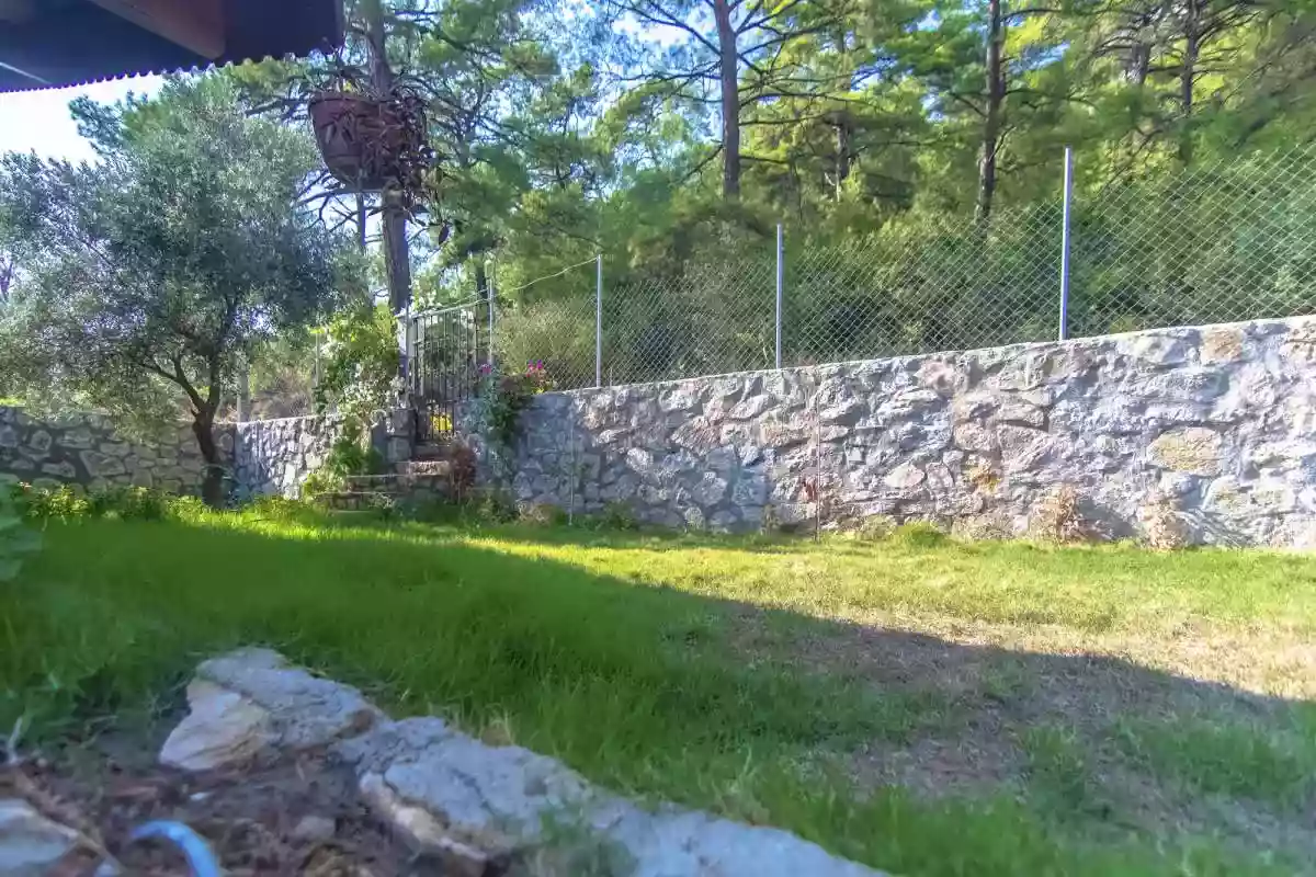 Villa Olive - 19