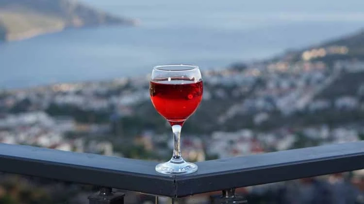 Villa Elit - 46