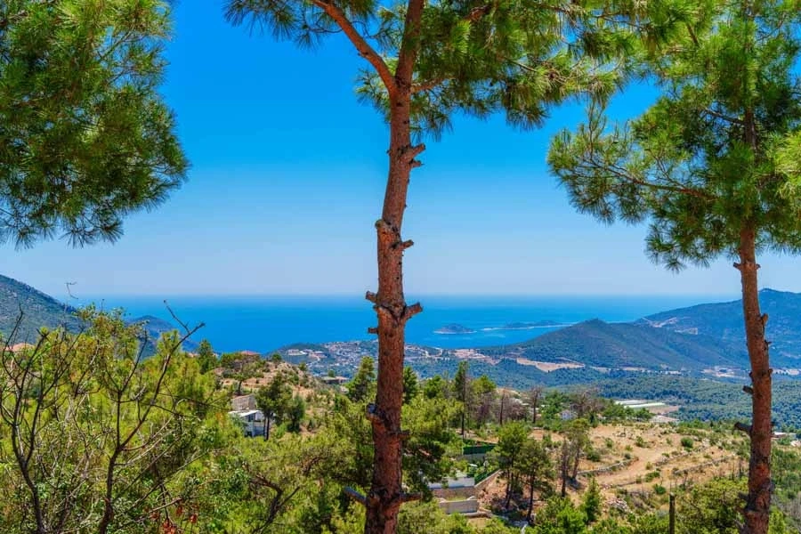 Villa Manzara İslamlar - 83
