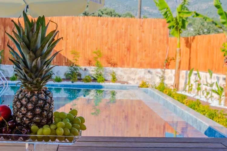 Villa Starliçe 2 - 51