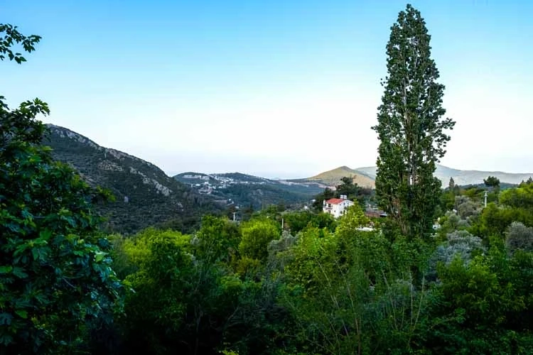 Villa Yudum - 55